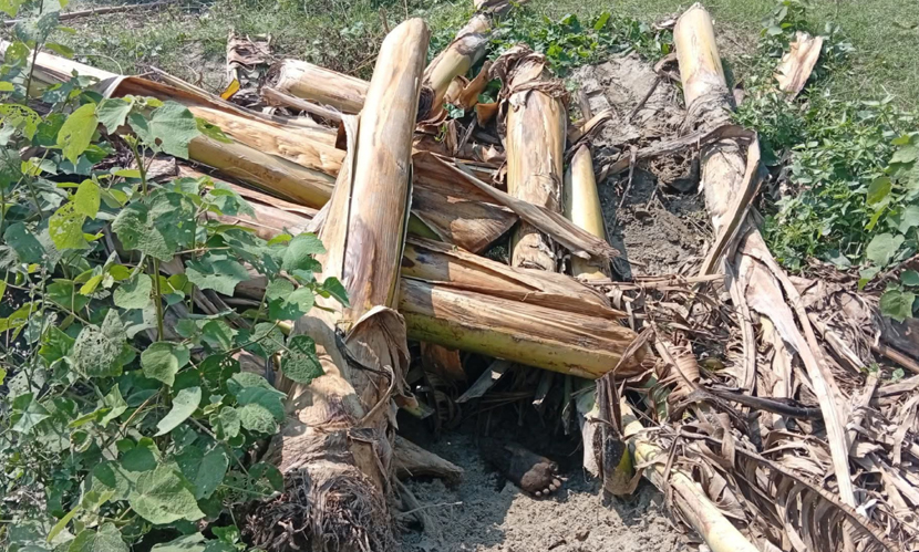 মা-শিশুর মরদেহ নিয়ে কুকুরের টানাটানি, দুর্গন্ধ পেয়ে উদ্ধার