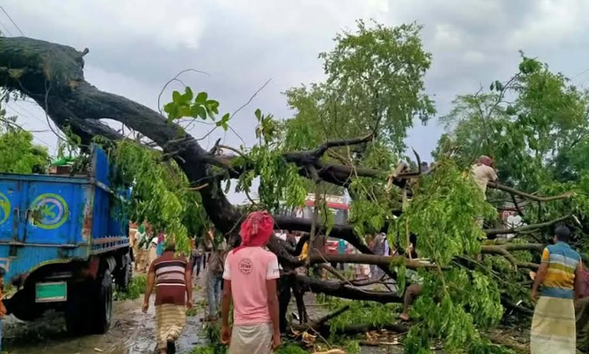 ঝড়বৃষ্টিতে ঢাকা-পাবনা মহাসড়কে গাছ ভেঙে পড়ায় যান চলাচল ব্যাহত