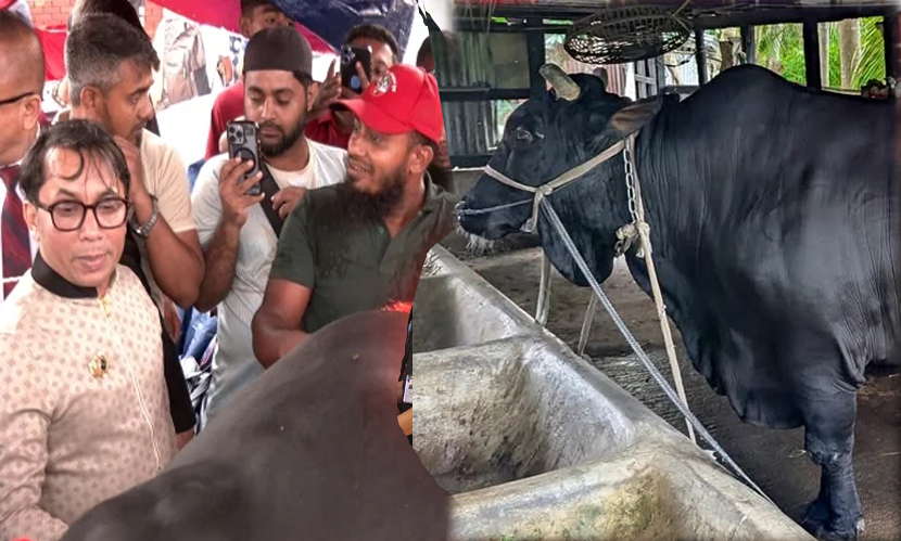 খালেদা জিয়াকে উপহার দেওয়া ‘কালো মানিক’ ২০ লাখে কিনলেন সিলেটের ফাহিম