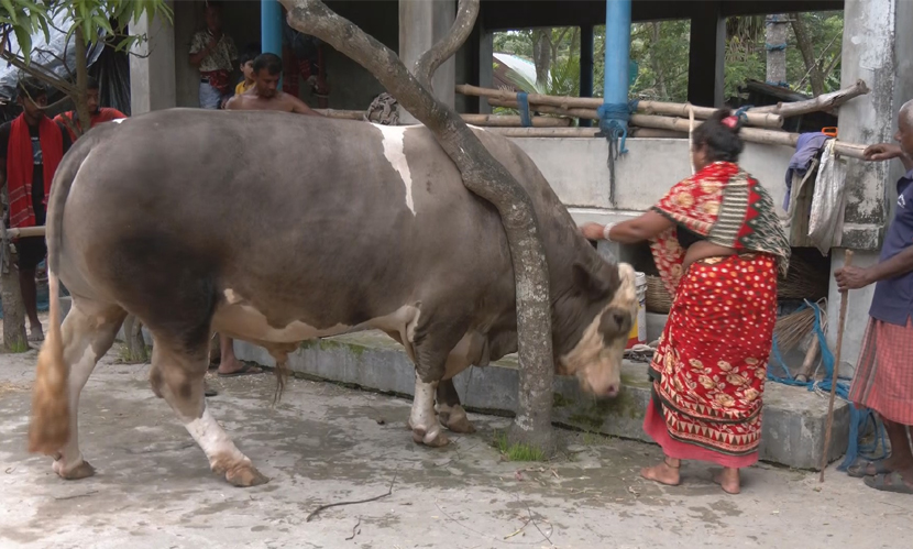 ‘নেইমার’