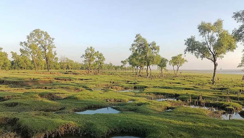 গুলিয়াখালী সৈকতে সাঁতারে নেমে স্কুলছাত্র নিখোঁজ