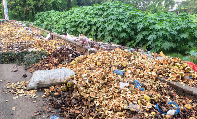রাজবাড়ী শহরের প্রাণকেন্দ্রে সদর খাদ্য গুদামের সামনে ময়লার ভাগাড়
