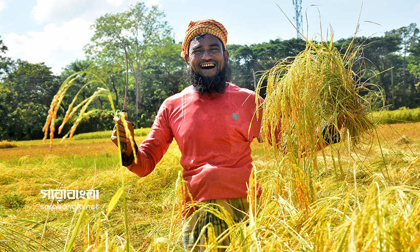কেবল কৃষি শ্রমিকদের আয়ই ছাড়াতে পারে ৪০০ কোটি টাকা