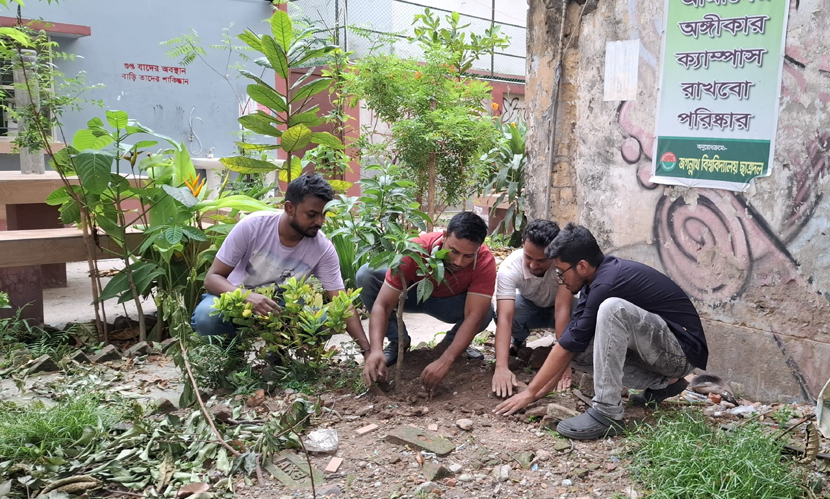 জিয়াউর রহমানের মৃত্যুবার্ষিকীতে জবি ছাত্রদলের বৃক্ষরোপণ কর্মসূচি