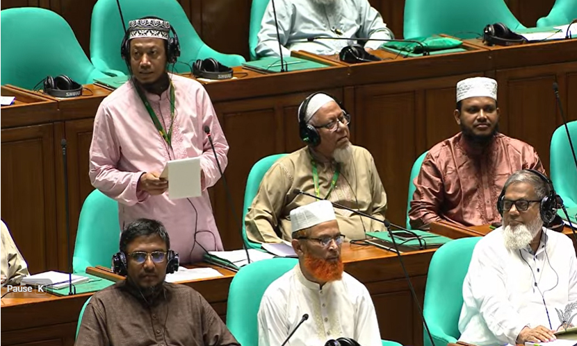 এই বাজেট চানাচুর মার্কার মতো, খেলে পেট খারাপ হবে: আমির হামজা