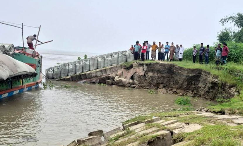 যমুনার ভাঙনে সিরাজগঞ্জে তীররক্ষা বাঁধের ৩০ মিটার নদীগর্ভে বিলীন