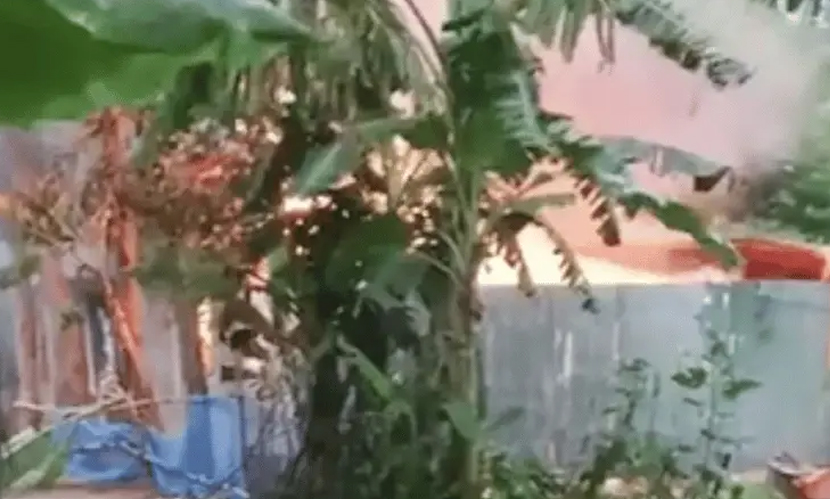 পাবনায় ধর্ষণ-হত্যার জেরে আসামিদের বাড়িতে আগুন, নিহত ৩