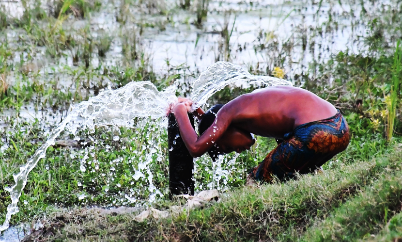 শ্রমজীবীদের দুর্ভোগ, তালশাঁস-হাতপাখায় স্বস্তির খোঁজ