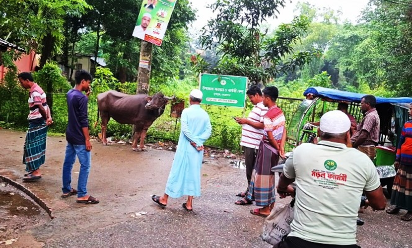নেত্রকোনায় মহিষ জবাই করে আর্জেন্টিনার সমর্থকদের ভোজের আয়োজন