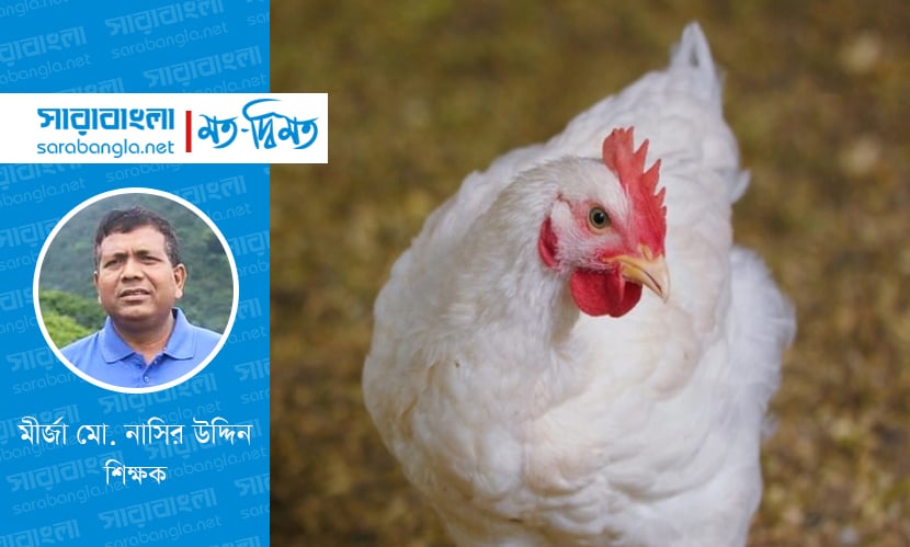 ব্রয়লার নিয়ে একটি ইতিবাচক ধারণা