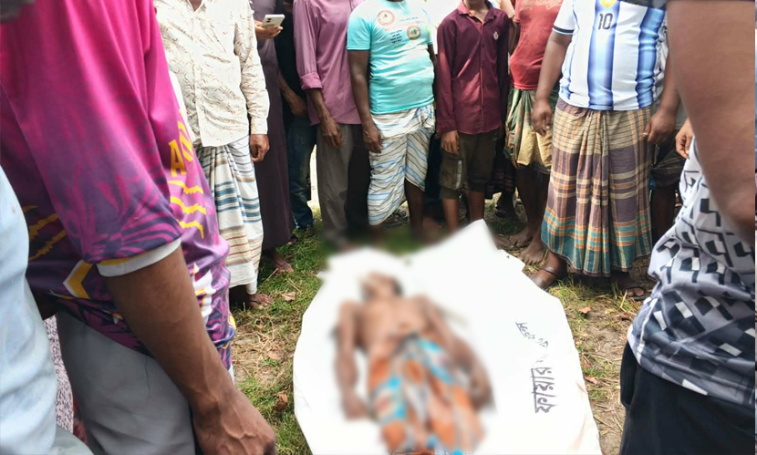 কাঁঠাল গাছের পাতা পাড়তে গিয়ে বিদ্যুতায়িত হয়ে বৃদ্ধের মৃত্যু