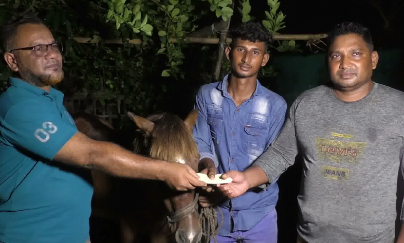 অন্ধ ঘোড়ার দেখভাল করা কলেজছাত্র সোহানের পাশে প্রধানমন্ত্রী
