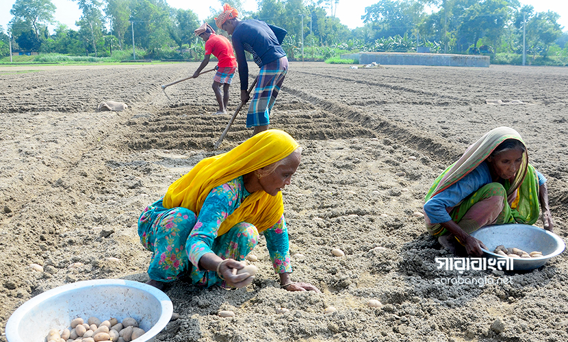 কৃষিতে গতি আনতে ৩ হাজার কোটি টাকার পুনঃঅর্থায়ন তহ‌বিল