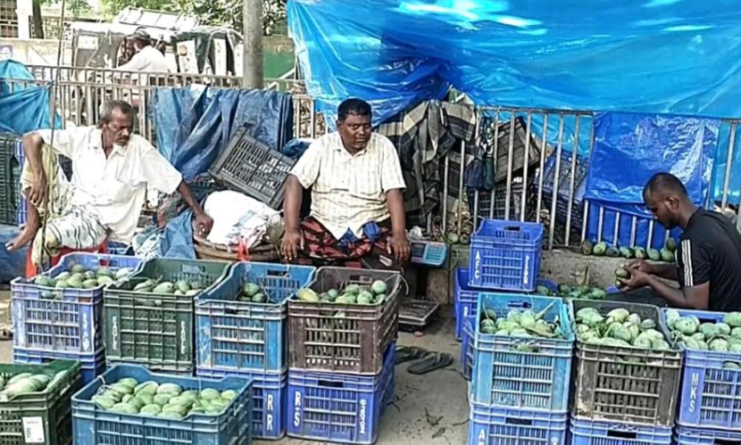 শেষ মুহূর্তের আম বাজারে প্লাস্টিক ক্রেট সিন্ডিকেটের দৌরাত্ম্য, ক্ষুব্ধ ব্যবসায়ীরা