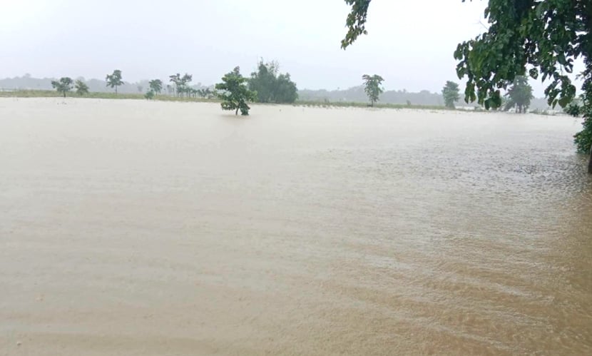কচ্ছপিয়ায় কমছে বন্যার পানি, তবে কাটেনি শঙ্কা