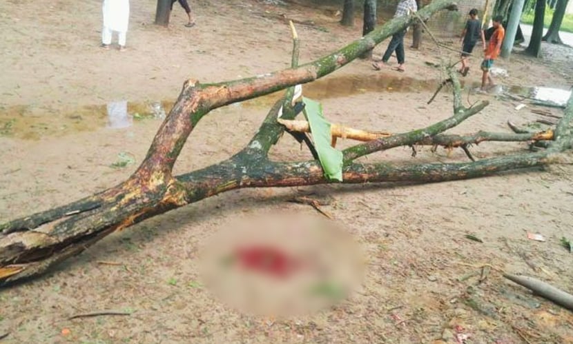 রাঙ্গুনিয়ায় গাছের ডাল ভেঙে পড়ে শিশুর মৃত্যু