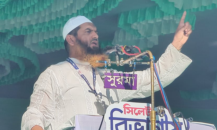 সংবিধান সংস্কার করেই জুলাই বিপ্লবের ফসল ঘরে তুলব: মামুনুল হক