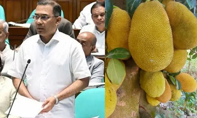 চীনে কাঁঠাল রফতানি করতে চায় সরকার
