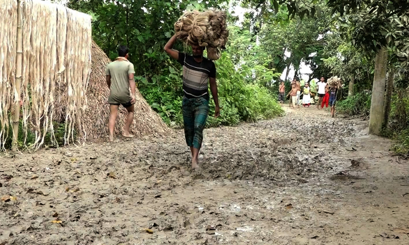 কুষ্টিয়ায় ৫০ বছর ধরে কাঁচা রাস্তায় ৪ গ্রামের মানুষের চলাচল