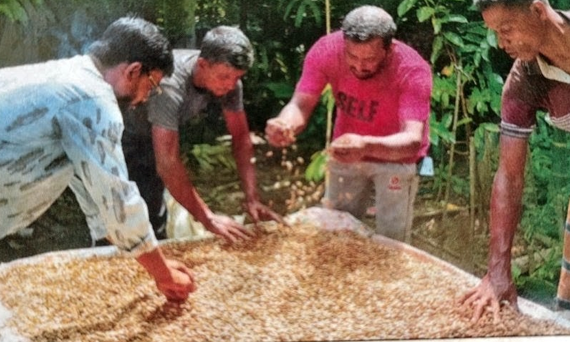 বাগেরহাটে সাড়া ফেলেছে খেজুর বীজের কফি