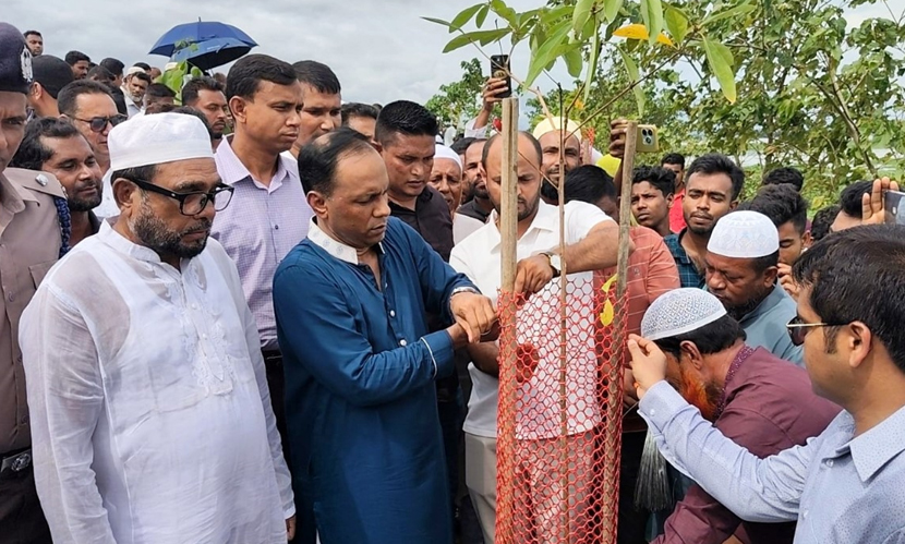 গাছ ভেঙে ফেলায় জড়িতদের গ্রেফতারের নির্দেশ ডেপুটি স্পিকারের