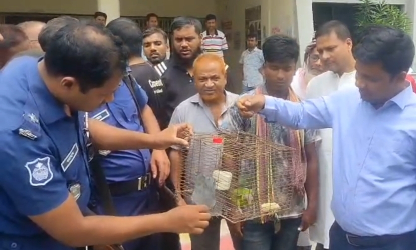 চাঁপাইনবাবগঞ্জে পাখি শিকারের দায়ে যুবককে জরিমানা