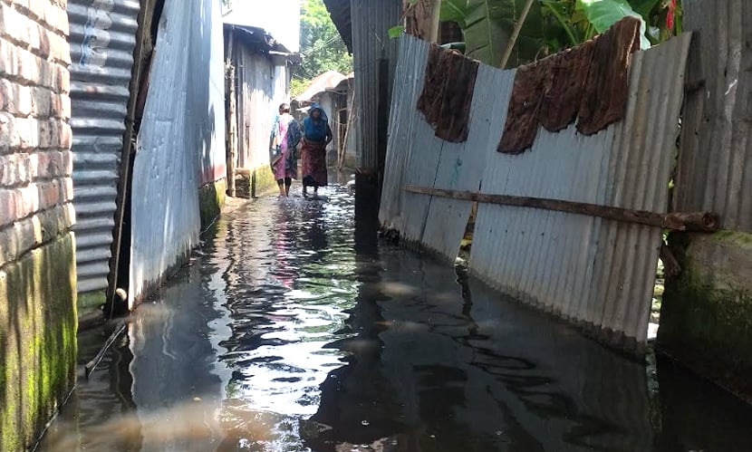 রাজবাড়ী পৌর এলাকায় অর্ধশত পরিবার পানিবন্দি