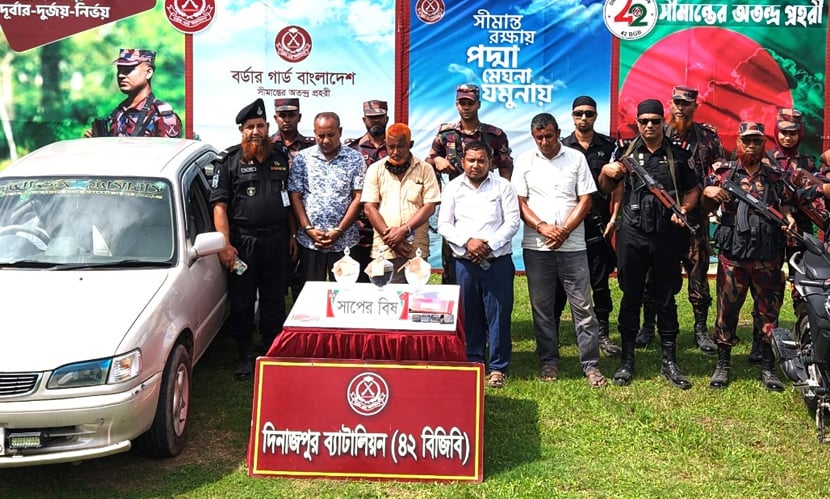 ৩৮ কোটি ৫৭ লাখ টাকার সাপের বিষ উদ্ধার করল বিজিবি