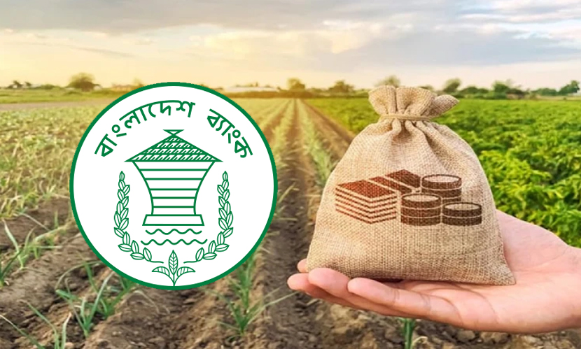কৃষিঋণ বিতরণের চাপ, প্রকৃত কৃষক বাছাই নিয়ে শঙ্কা
