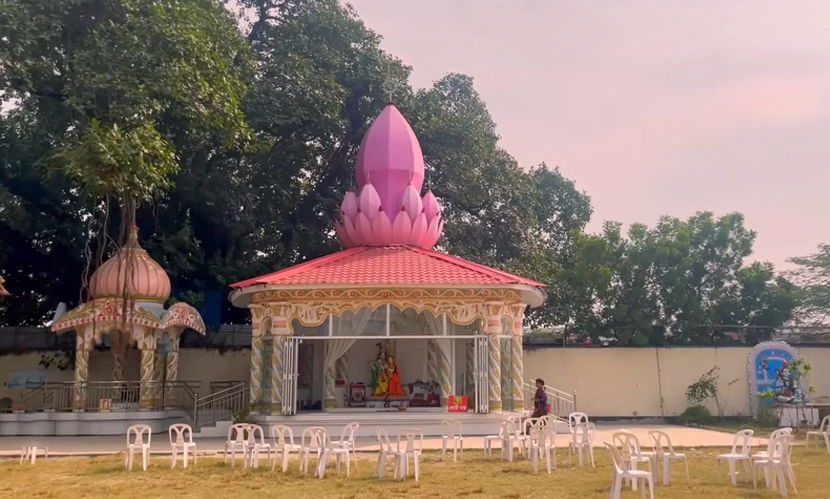 ছোট সাঁকো পেরোলেই কাশফুলের মেলা