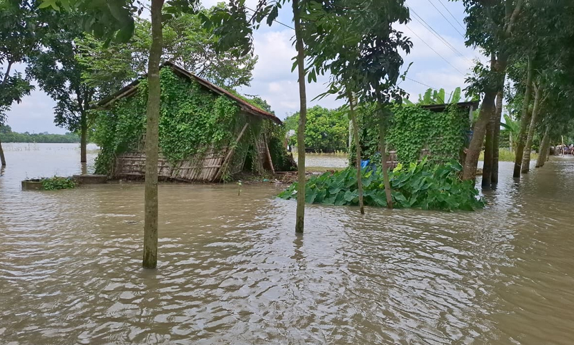 উজানের ঢলে বাড়ছে পদ্মায় পানি, চাঁপাইনবাবগঞ্জের চরাঞ্চলে দুর্ভোগ