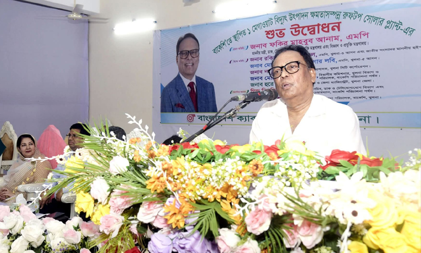‘পাঁচ বছরে ১০ হাজার মেগাওয়াট সৌরবিদ্যুৎ উৎপাদনের লক্ষ্য সরকারের’