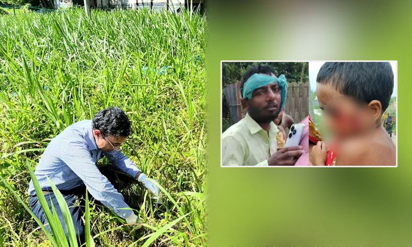 গাইবান্ধায় মানুষকে কামড়ানো সেই কুকুর-শিয়ালের শরীরে র‍্যাবিস ভাইরাস