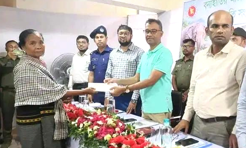লামায় হাতির আক্রমণে ক্ষতিগ্রস্ত ৬৬ পরিবার পেল ২১ লাখ টাকা