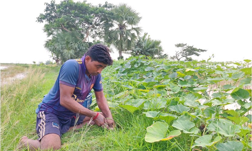 সাতক্ষীরায় ঘেরের বেড়িবাঁধে সবজি, পানিতে মাছ চাষ