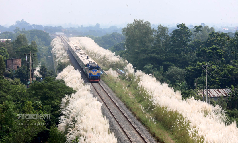 কাশবনের ট্রেন