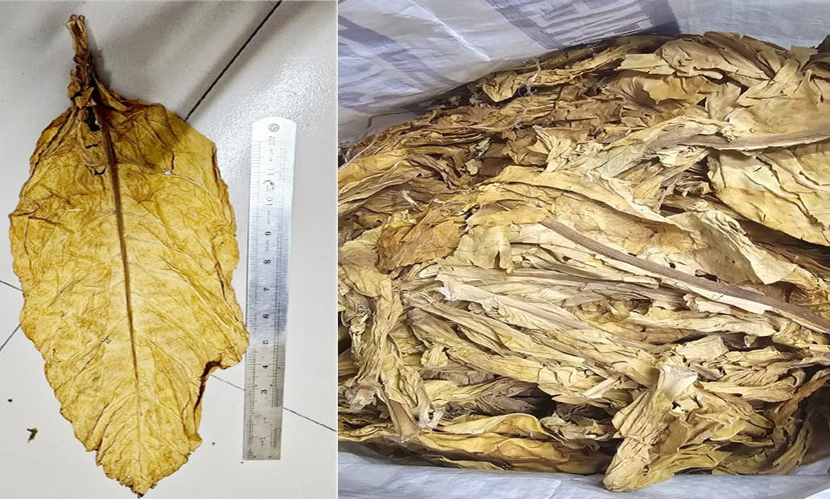 শুল্ক ফাঁকি দিয়ে ১০ কনটেইনার তামাক আমদানির চেষ্টা