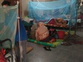 ঝিনাইদহে ১১ রোগী, সদর হাসপাতালে নেই ডেঙ্গু শনাক্তের ব্যবস্থা