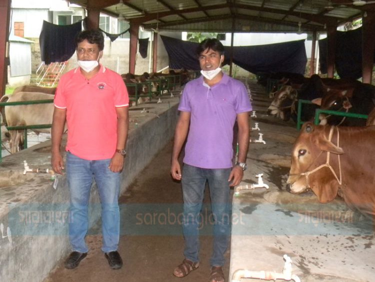 গাজীপুরে অনলাইনে কোরবানির গরু বিক্রিতে সফল হ্যান্ডশেক অ্যাগ্রো