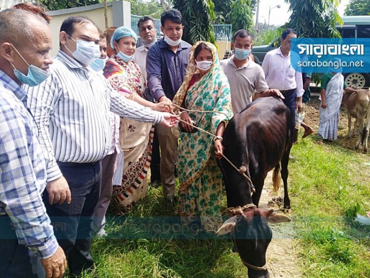 গাজীপুরে ক্ষুদ্র নৃগোষ্ঠী পরিবারের মধ্যে গরু বিতরণ