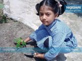 সামসুল হক খান স্কুল অ্যান্ড কলেজ শিক্ষার্থীদের উদ্যোগে বৃক্ষরোপণ