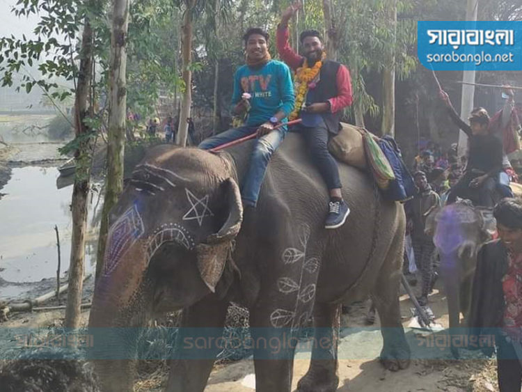 হাতির পিঠে চড়ে নবনির্বাচিত ইউপি সদস্যের বিজয় মিছিল