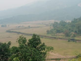 দেশে ঢুকেছে ভারতের ৭ বন্য হাতি, বিরক্ত না করার আহ্বান