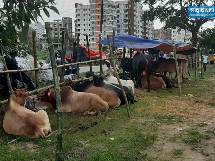 আফতাবনগরে পশুর হাট বসানো যাবে না, আদেশ বহাল