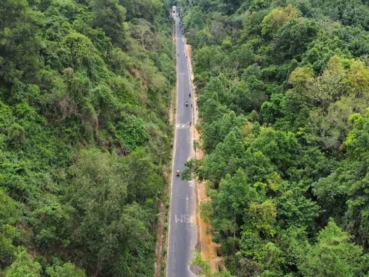 চবি ক্যাম্পাসে সাপের কামড়ে আহত ২ শিক্ষার্থী