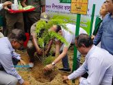 যত্রতত্র রিসোর্টে সাজেকের সৌন্দর্য নষ্ট হয়েছে: দীপংকর তালুকদার