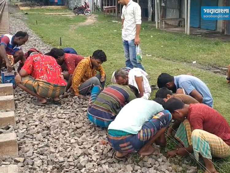 নাটোরে গাঁজা কুড়াতে উপচে পড়া ভিড়